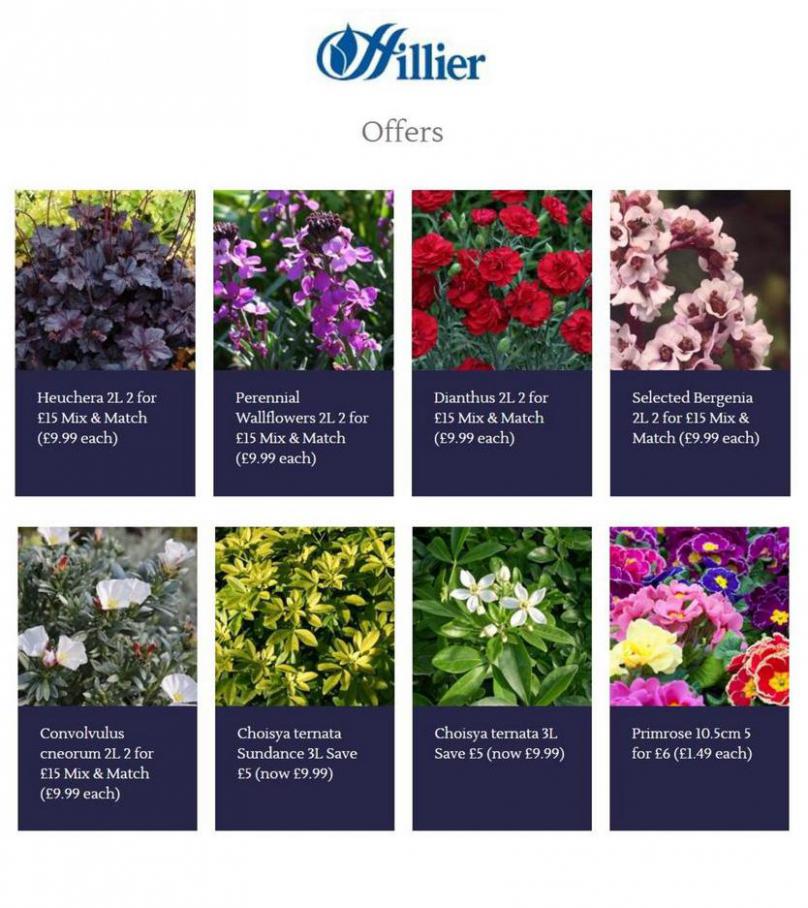 Top Offers . Hillier Garden Centres (2021-03-16-2021-03-16)