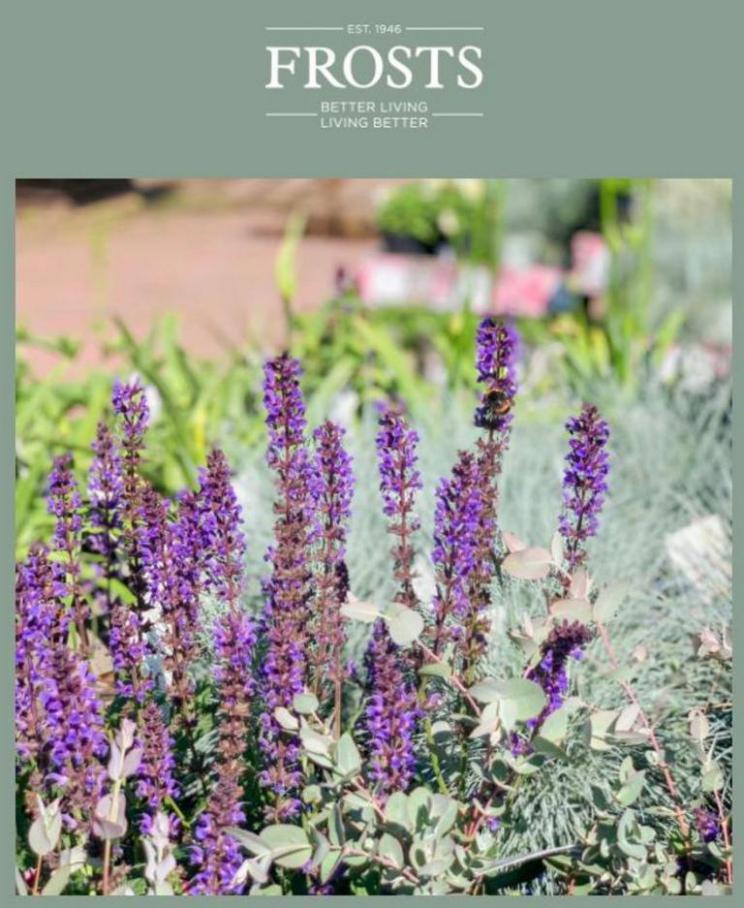Beautiful Bees | Book of the Month. Frosts Garden Centres (2021-06-27-2021-06-27)