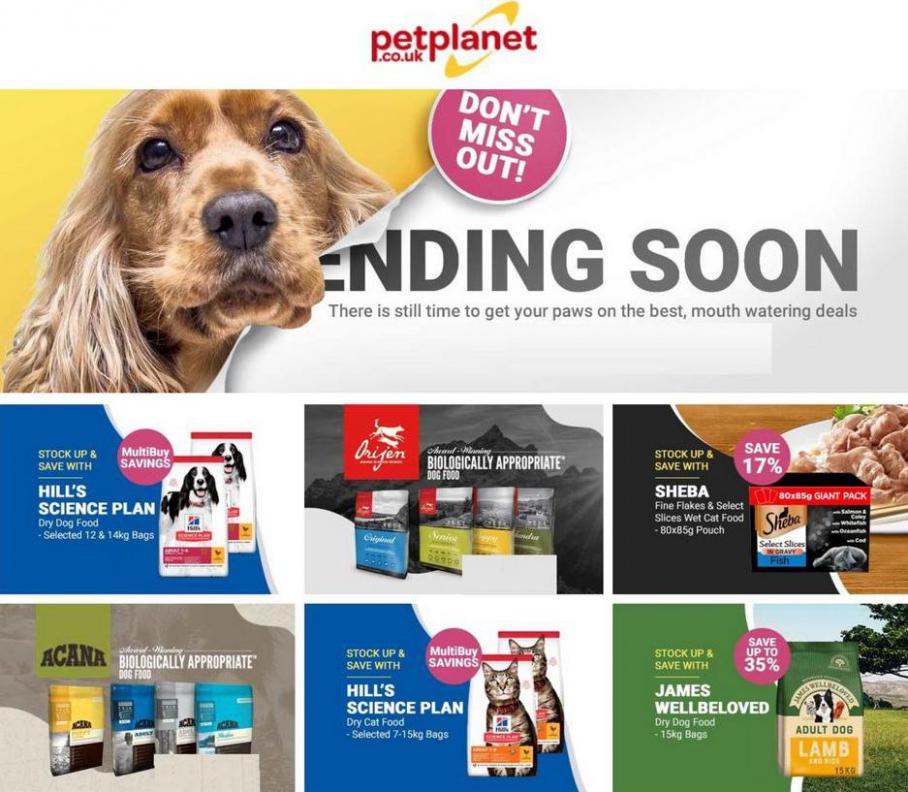 Special Offers. Pet Planet (2021-09-02-2021-09-02)