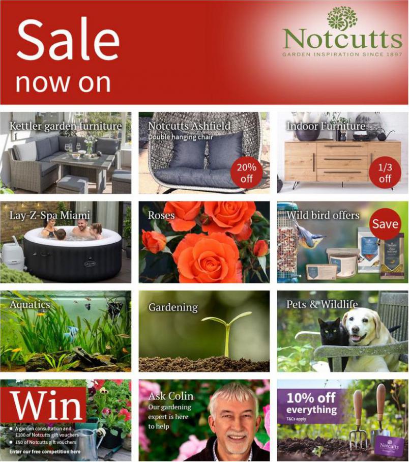 Sale Now On. Notcutts Garden Centre (2021-08-19-2021-08-19)