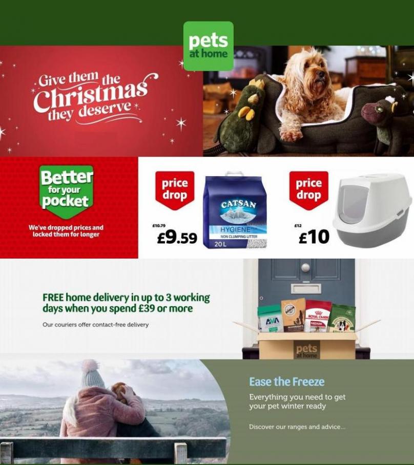Christmas Shop. Pets at Home (2021-12-16-2021-12-16)