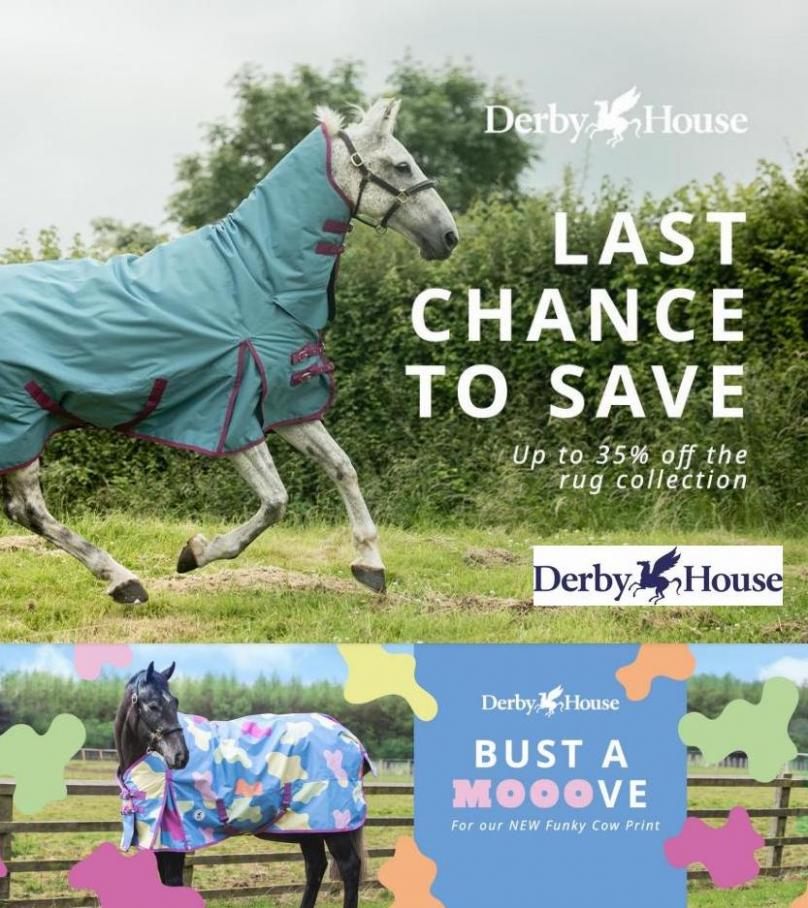 Derby House Rugs. Derby House (2022-04-04-2022-04-04)