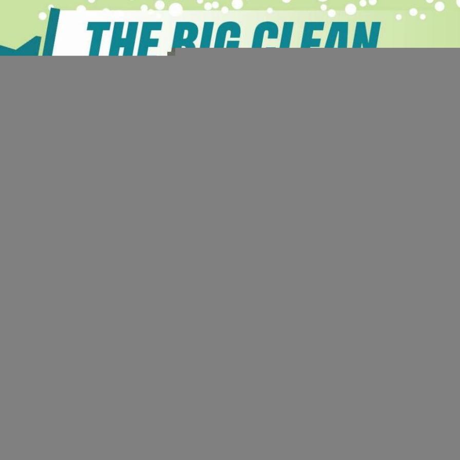The big clean. Iceland (2023-03-31-2023-03-31)