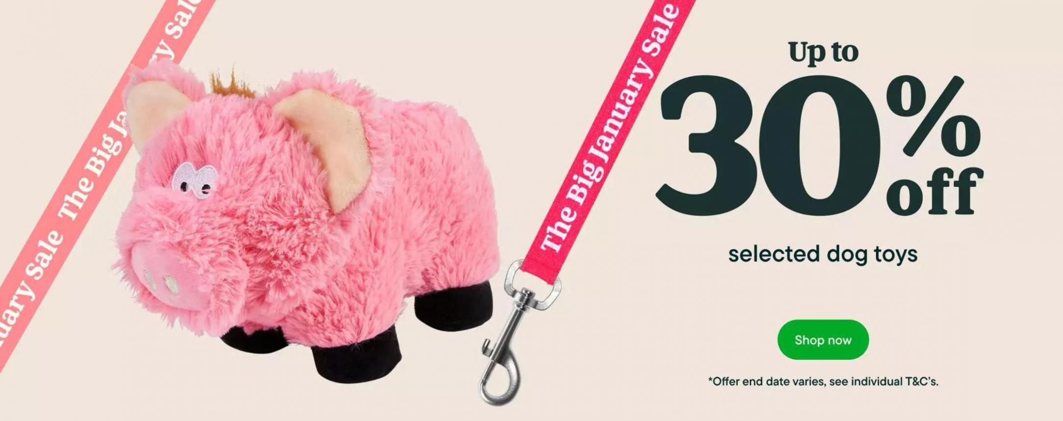 The Big January Sale. Pets at Home (2024-01-31-2024-01-31)