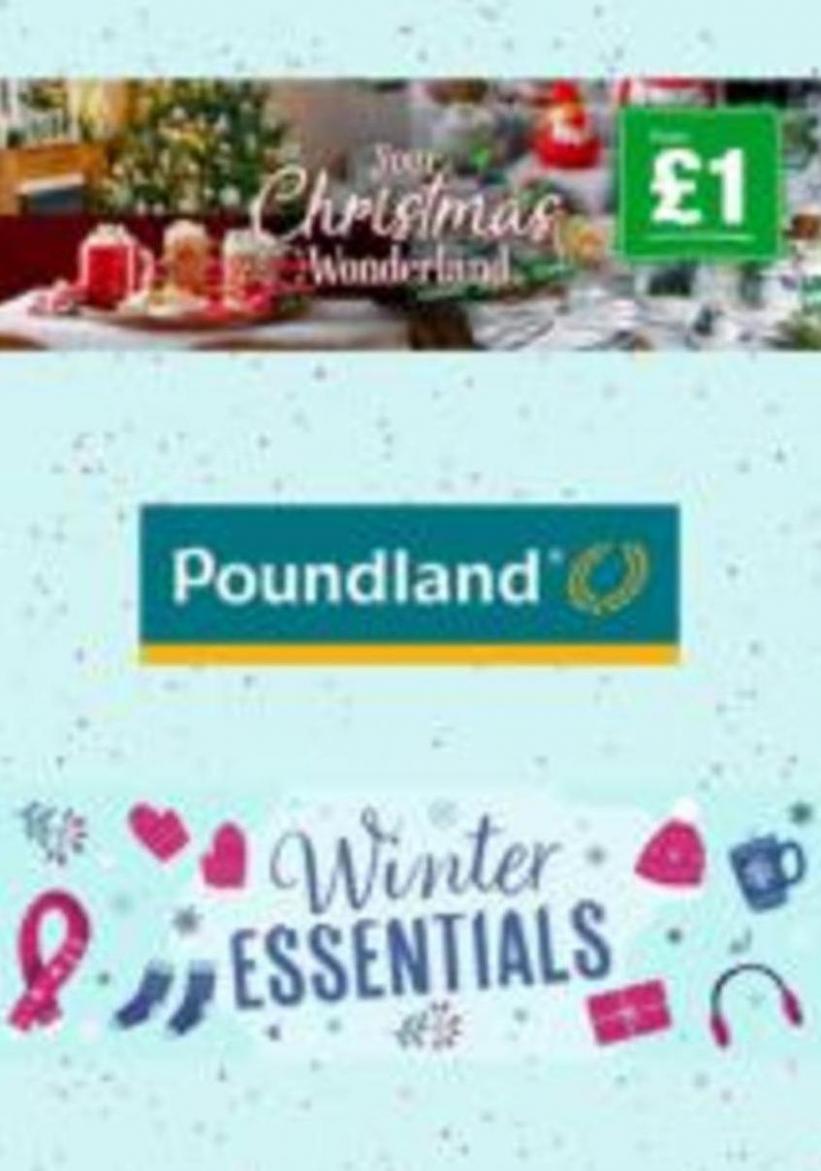 Winter Essentials. Poundland (2024-01-05-2024-01-05)